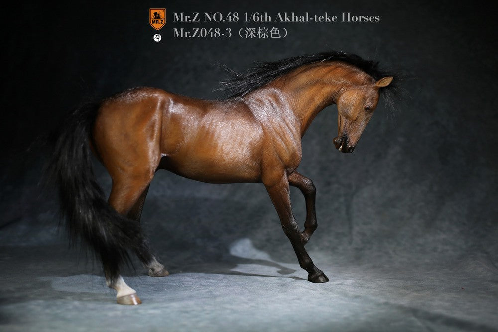 Akhal-Teke Horses - Animal Model No.48