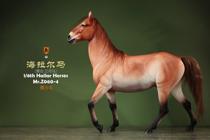 Mongolia Hailar War Horse 4