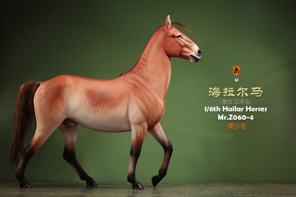 Mongolia Hailar War Horse 4