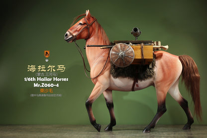Mongolia Hailar War Horse 4
