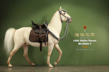 Mongolia Hailar War Horse 7