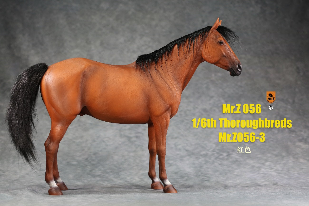 Thoroughbred War Horse 3