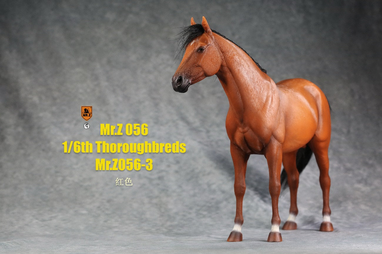 Thoroughbred War Horse 3