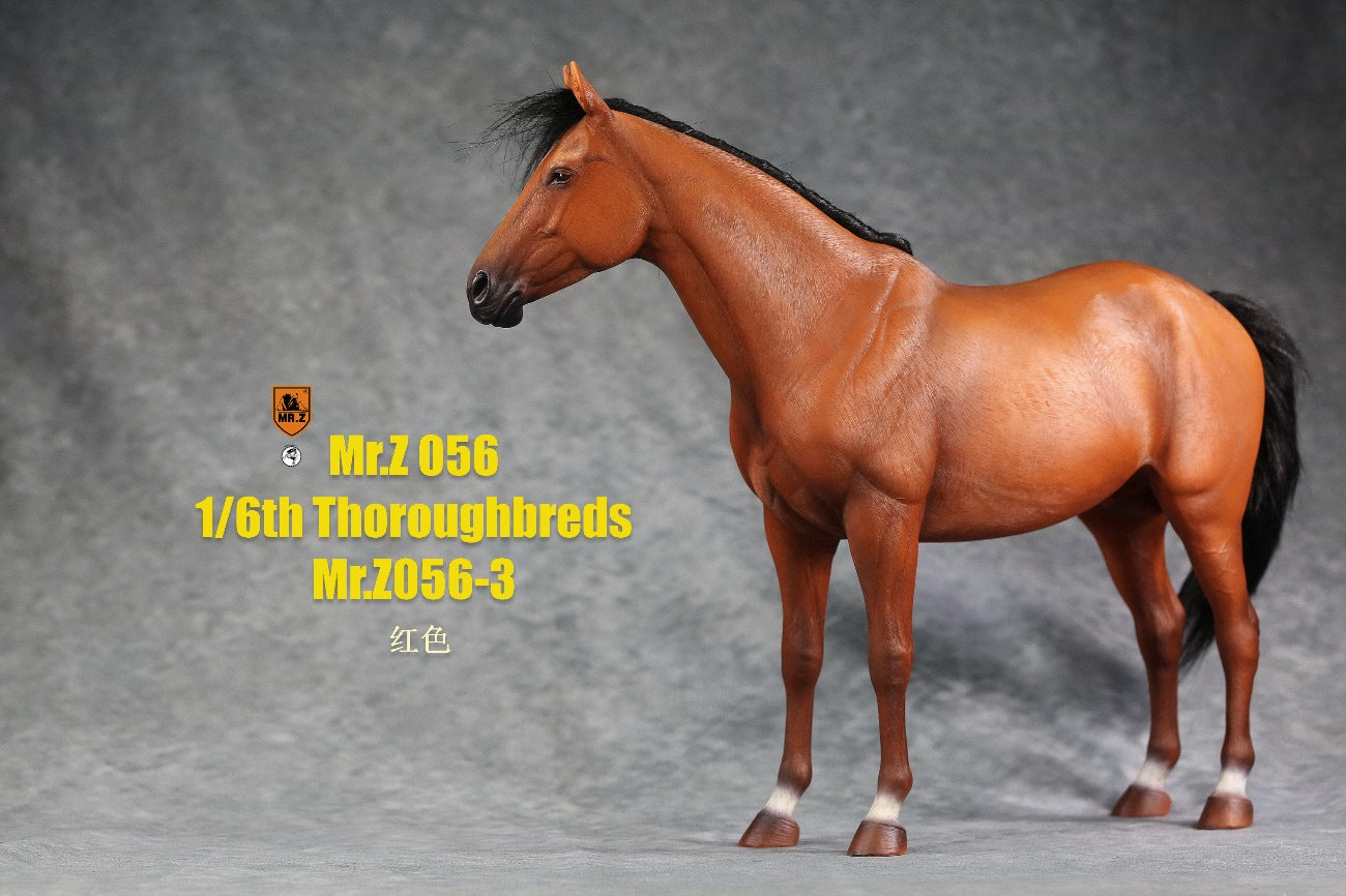 Thoroughbred War Horse 3