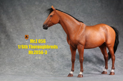 Thoroughbred War Horse 3