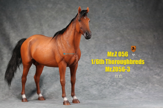 Thoroughbred War Horse 3
