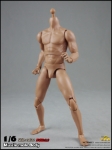 COOMODEL 1/6 Muscle Male Body 2.0 (BD003)