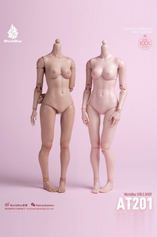 WorldBox 1/6 Girls Body Standard Version (AT201)