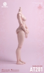 WorldBox 1/6 Girls Body Standard Version (AT201)
