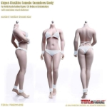 TBLeague 1/6 Female Super-Flexible Seamless Bodies Suntan (PHMB2019-S29B)
