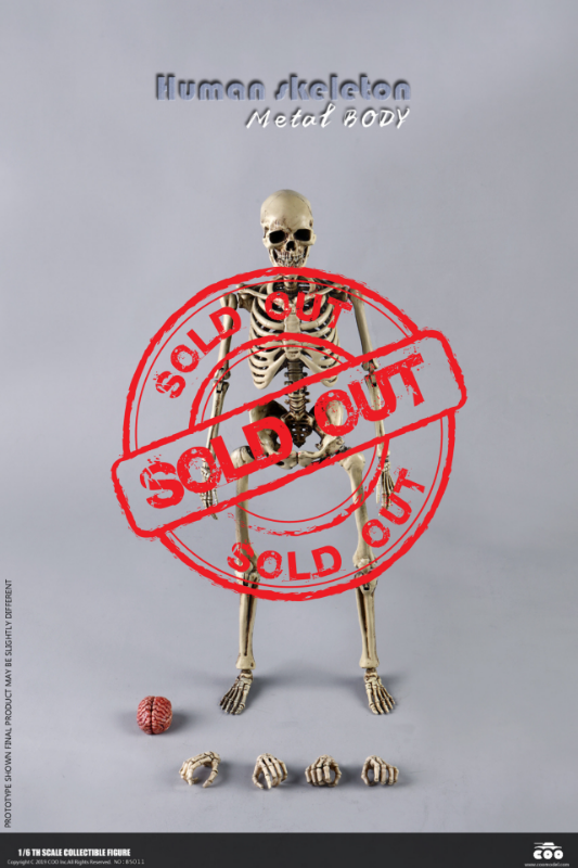COOMODEL 1/6 The Human Skeleton Diecast Alloy Reproduction (BS011)