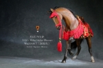 Mr.Z 1/6 Animal model No.48: Akhal-Teke Horses (Mr.Z048-3)