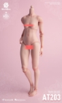 WorldBox 1/6 Girls Body (AT203)