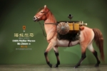 Mr.Z 1/6 Mongolia Hailar War Horse (Mr.Z060-4)