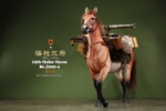 Mr.Z 1/6 Mongolia Hailar War Horse (Mr.Z060-4)