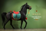 Mr.Z 1/6 Mongolia Hailar War Horse (Mr.Z060-6)