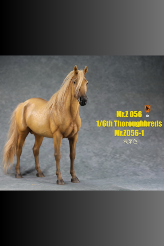Mr.Z 1/6 Thoroughbred War Horse (MR.Z056-1)