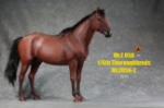 Mr.Z 1/6 Thoroughbred War Horse (MR.Z056-2)