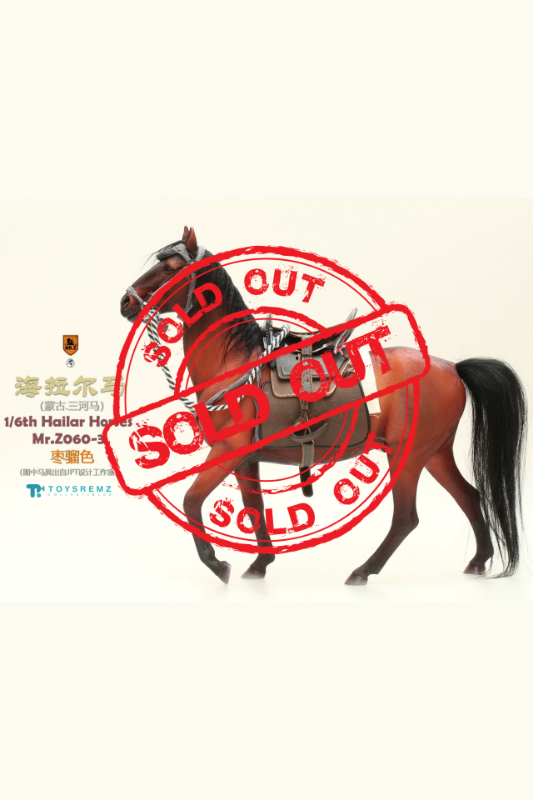 Mr.Z 1/6 Mongolia Hailar War Horse (Mr.Z060-3)